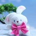 thumbnail image 4 of Puntoco Pequeño Conejo Colgante Conejo De Orejas Largas Muñeca Bolsa Colgante Muñeca Llavero Muñeca A,Decoración Hogareña, 4 of 4