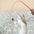 thumbnail image 5 of NSESSHome Cat Toy Wand, Silicone Mice Tail Teaser Toys Interactive Cat Toys for Indoor Cats Kittens Chase Exercise, 5 of 5