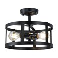 thumbnail image 1 of Xtricity - 2-Light Decorative Ceiling Light, 11.8" Width, From the Preston Collection, Black, 1 of 4