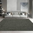 thumbnail image 3 of Haperlare Modern Area Rugs for Living Room Braided Print Machine Washable Ultra-Thin Soft Woven Rugs for Bedroom,Solid Dark Grey Carpet,8'x10', 3 of 7