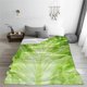 thumbnail image 5 of Manta de lechuga fresca, manta suave y difusa para viajes, para dormitorio, sala de estar, sofá, oficina, coche, regalo para todas las estaciones para niñas, niños, mujeres y hombres, 50 x 40 pulgadas, 5 of 8