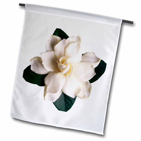 3dRose Gardenia - Garden Flag, 12 by 18-inch