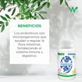 thumbnail image 4 of Probioticos Natural Wisdom 60 capsulas NATURAL WISDOM Suplemento, 4 of 5