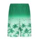 thumbnail image 5 of Pantalones Cortos Casuales para Hombre Imprimir con Bolsillos Pantalones de Playa de Cintura Elástica, Pantalones Cortos de Cintura Elástica para Hombre, 5 of 6
