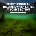 thumbnail image 3 of Tetra Pond Water Clear Clarifier, Safe for Ornamental Pond Fish and Plants, 8 oz, 3 of 8