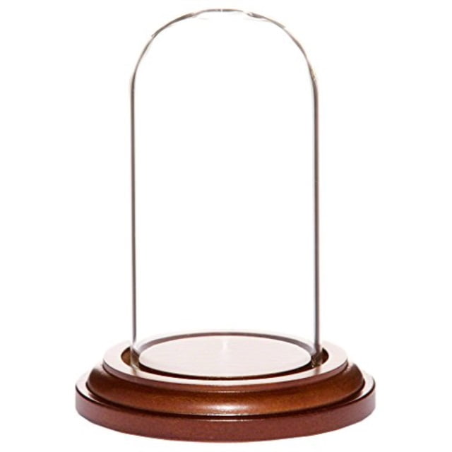 Plymor 2.5/" x 3.5/" Small Glass Display Dome Cloche Dark Mahogany Veneer Base