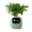 Green, variant on PLANTSIO Smart pet Planter Robot Guidance on Plant Care with Emojis, Adorable Plant Companion with Rich Gesture Interaction, Neat Desk Setup Gift (Green)