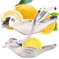 thumbnail image 1 of Machine à Thé au Citron en Acier Inoxydable 304 Forme d'Oiseau, 1 of 7