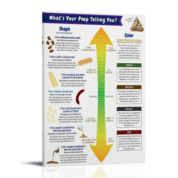 Bristol Stool Chart Poster Gastrointestinal Health Chart - Digestive System Poster Canvas Wall Art Deco Posters Canvas Printing For Room Aesthetic Decoration Painting Posters