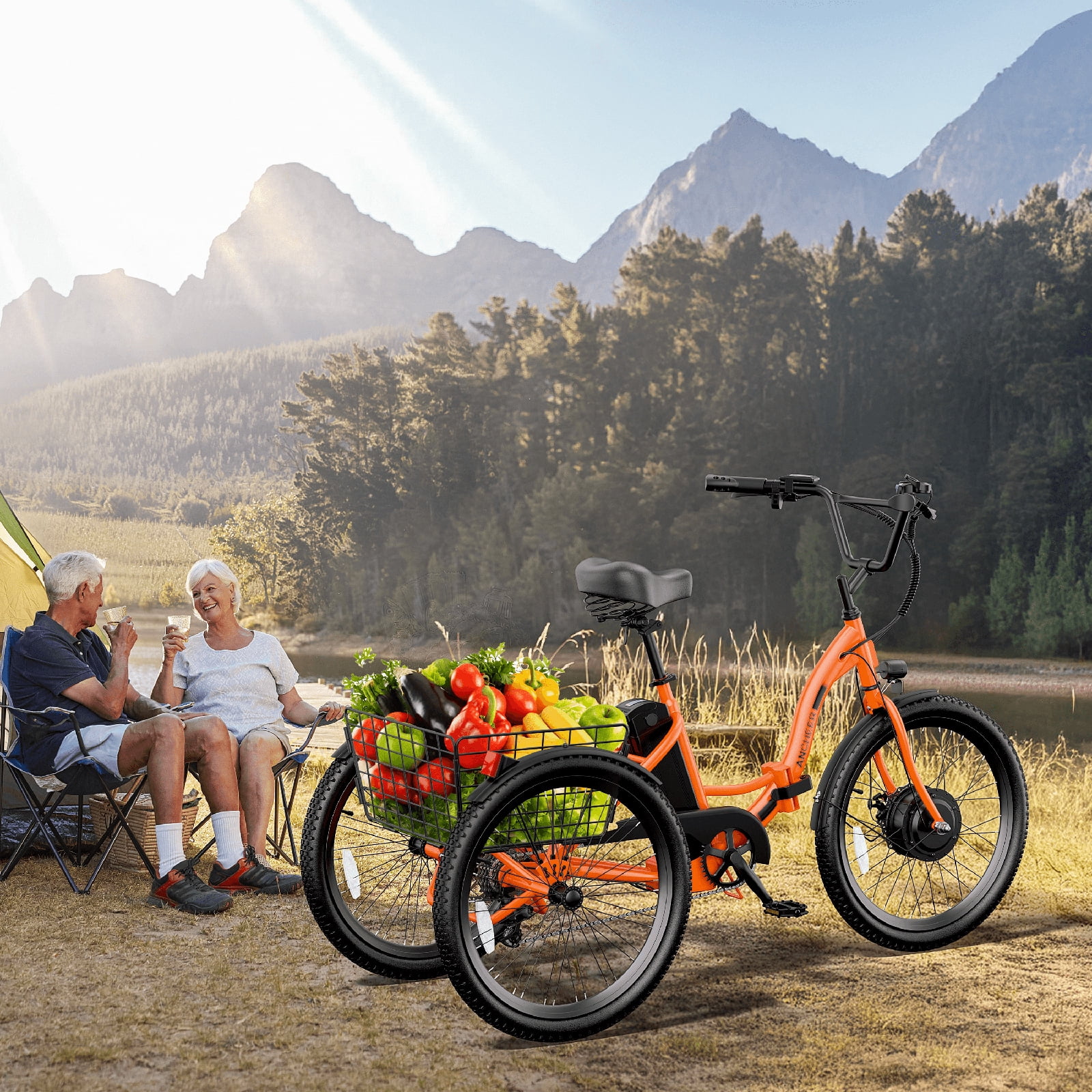 ANCHEER Electric Tricycle for Adults,24" Folding Electric Trike,3 Wheels Electric Bicycle Bikes,350W Step-Thru Etrike with 48V/499Wh Removable Battery,15.5MPH & 55Miles Electric Bike UL2849