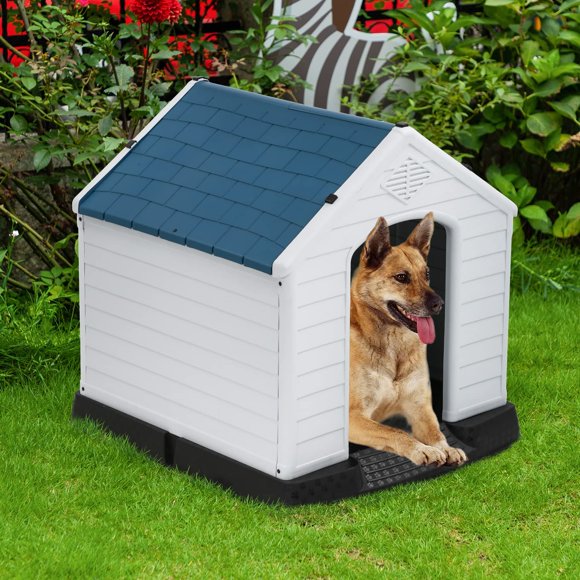 Casas Para Perros