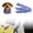 B, variant on Squeaky Chew Vinyl Barbell Shape Teething Interactive For Puppies And