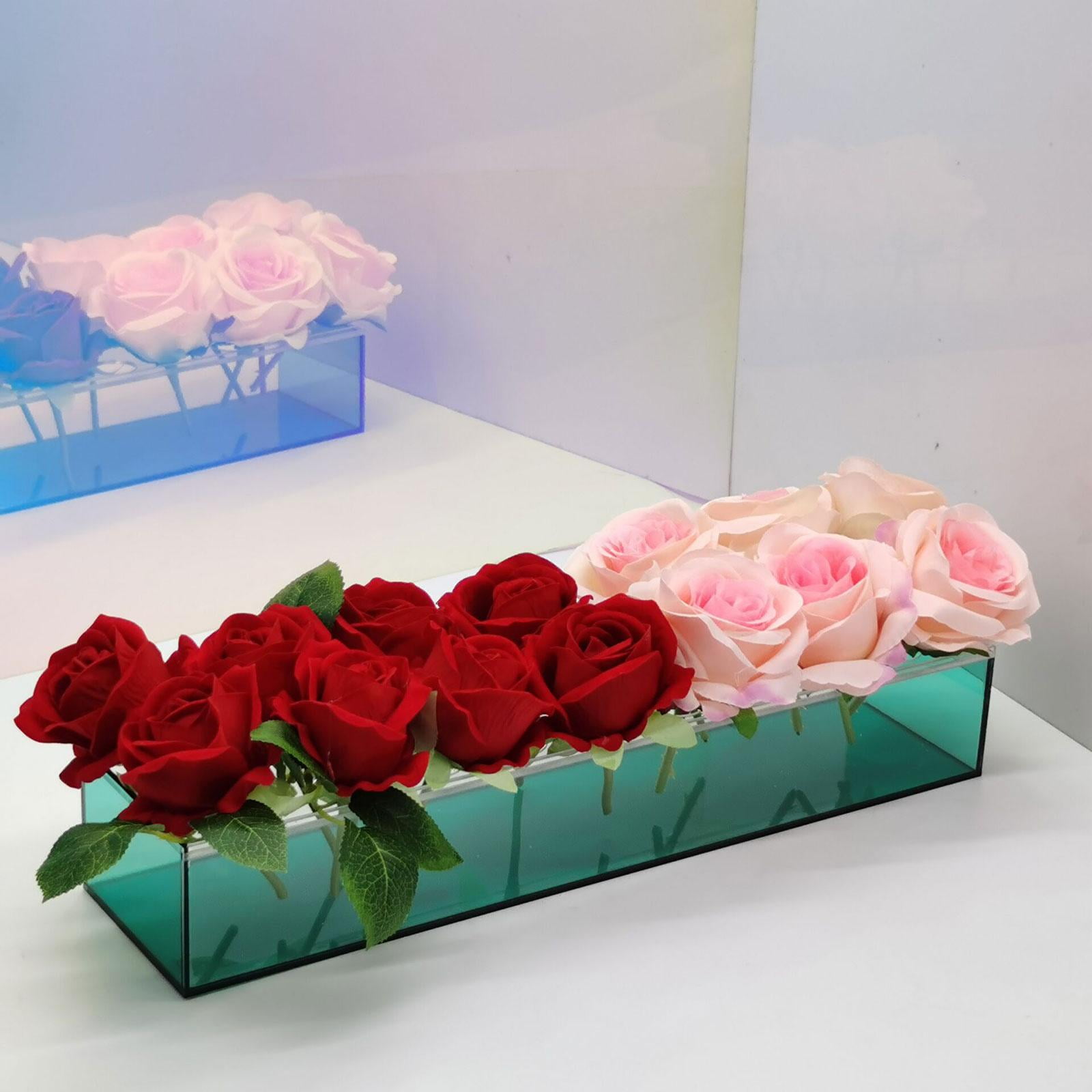 Hydroponics Plant Holder Low Laying Bud Vase Acrylic Flower Vase