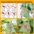 thumbnail image 4 of Kedshhgu 200 Pcs Fruit Protection Bags, Protecting Vegetables and Fruits from Birds and Pests, Reusable Fruit Netting Bags for Fruit Trees, Fruit Bags Gift Bags, 4 of 6