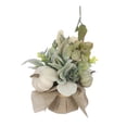 thumbnail image 3 of Récolte Pl feuilles en pot floral-vert, 3 of 4