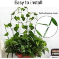 thumbnail image 4 of 100 Pack Plant Support Clips, Self Adhesive Plant Clips, Wall Clips For Climbing Garden Plants Adhesive Hook For Climbing Plants, Cable Fixing Or For, 4 of 5