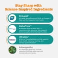 thumbnail image 3 of Zesty Paws Senior Advanced Cognition Bites Chicken Flavor Dog Supplement, 90 Count, 3 of 11