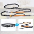 thumbnail image 3 of Heavy Duty No Pull Dog Leash With Double Bungees, For Walking And Jogging, 3 of 7