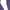 Purple, variant on BZGTZT High Waisted Leggings for Women Elastic Skin-Friendly Comfortable Yoga Pants Buttery Soft Daily Casual Leggings