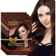 thumbnail image 1 of Herbishh Dark Brown Color Shampoo for Gray Hair, Hair Dye Shampoo 3 in 1, 100% Grey Coverage for Men & Women, Long-lasting & Travel-friendly, Ammonia-free, 30 ml (Pack of 5), 1 of 5