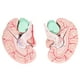 thumbnail image 5 of Molde Cerebral, Modelo De Cerebro Humano Marcado Transversal Regalo Científico Para Niños Para Neurociencia ANGGREK Otros, 5 of 8