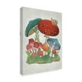 thumbnail image 2 of Trademark Fine Art 'Mushroom Collection I' Canvas Art by Chariklia Zarris, 2 of 4