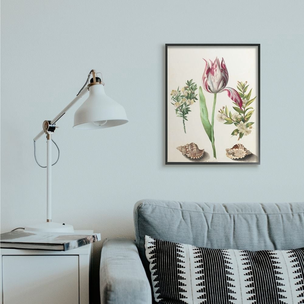 Stupell Industries Exotic Tropical Pink Floral Illustration with Nautical Shells Framed Wall Art Design by Ziwei Li