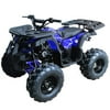 125cc Utility ATV Vitacci Rider 10