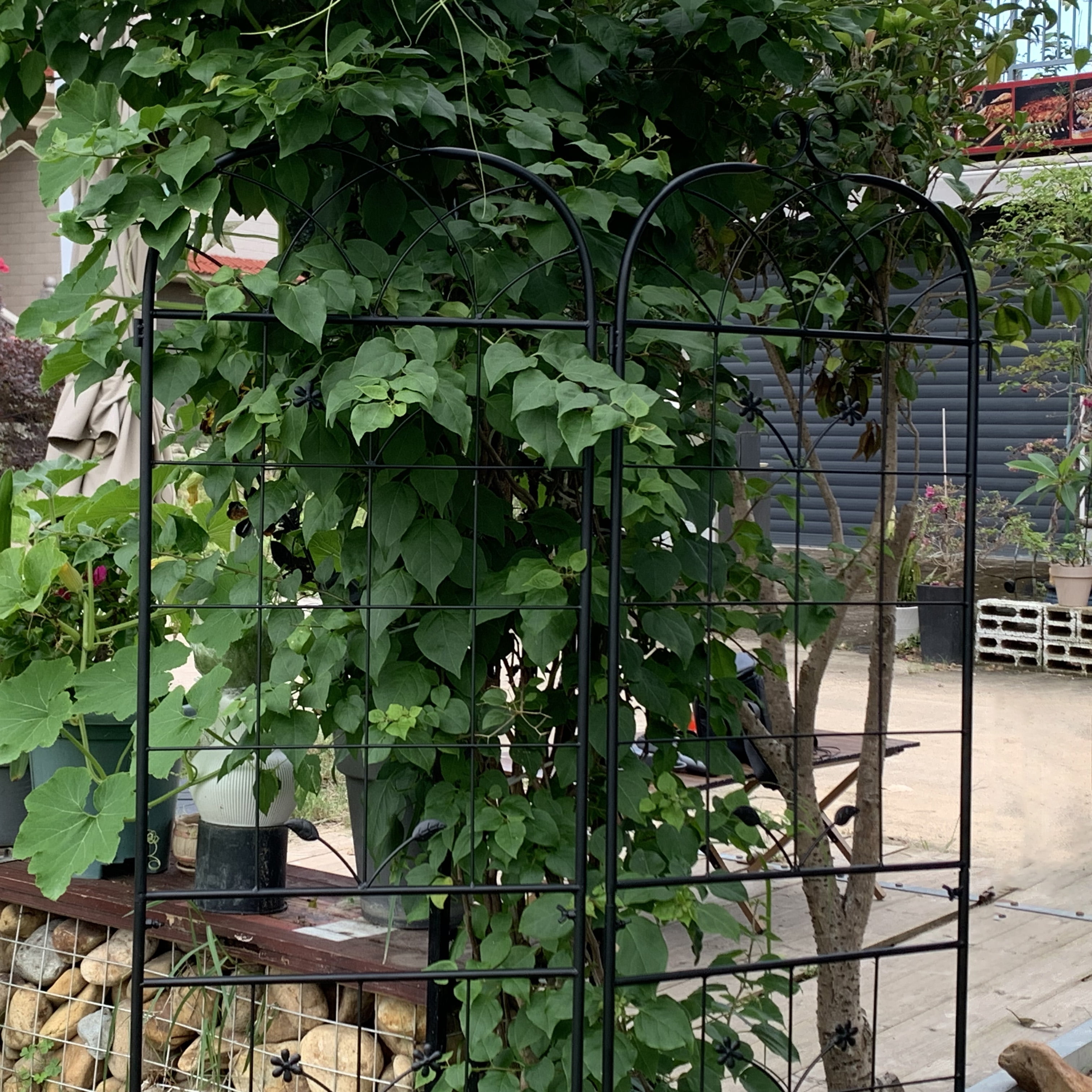 Garden Trellis, 2 Pack Metal Trellis for Climbing Plants, Indoor/Outdoor Plant Trellis for Potted Plants, House Plants, Climbing Vines, Flowers and Vegetables