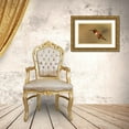 thumbnail image 3 of Archer, Ken 18x13 Gold Ornate Wood Framed with Double Matting Museum Art Print Titled - Male Rufous hummingbird, 3 of 4