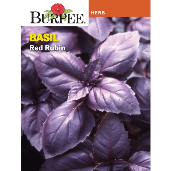 Burpee Red Rubin Basil Herb Seed