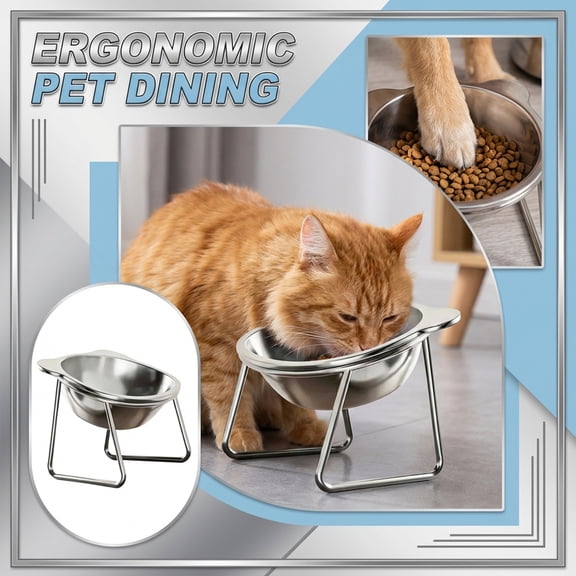 Elevated Cat Bowls - for Small Cats/Dogs, 5.9" Indoor Stainless Steel Raised Cat Bowl for Food and Water,15° Tilted Anti-Vomiting Dog Dishes, Whisker Friendly, Spine Friendly