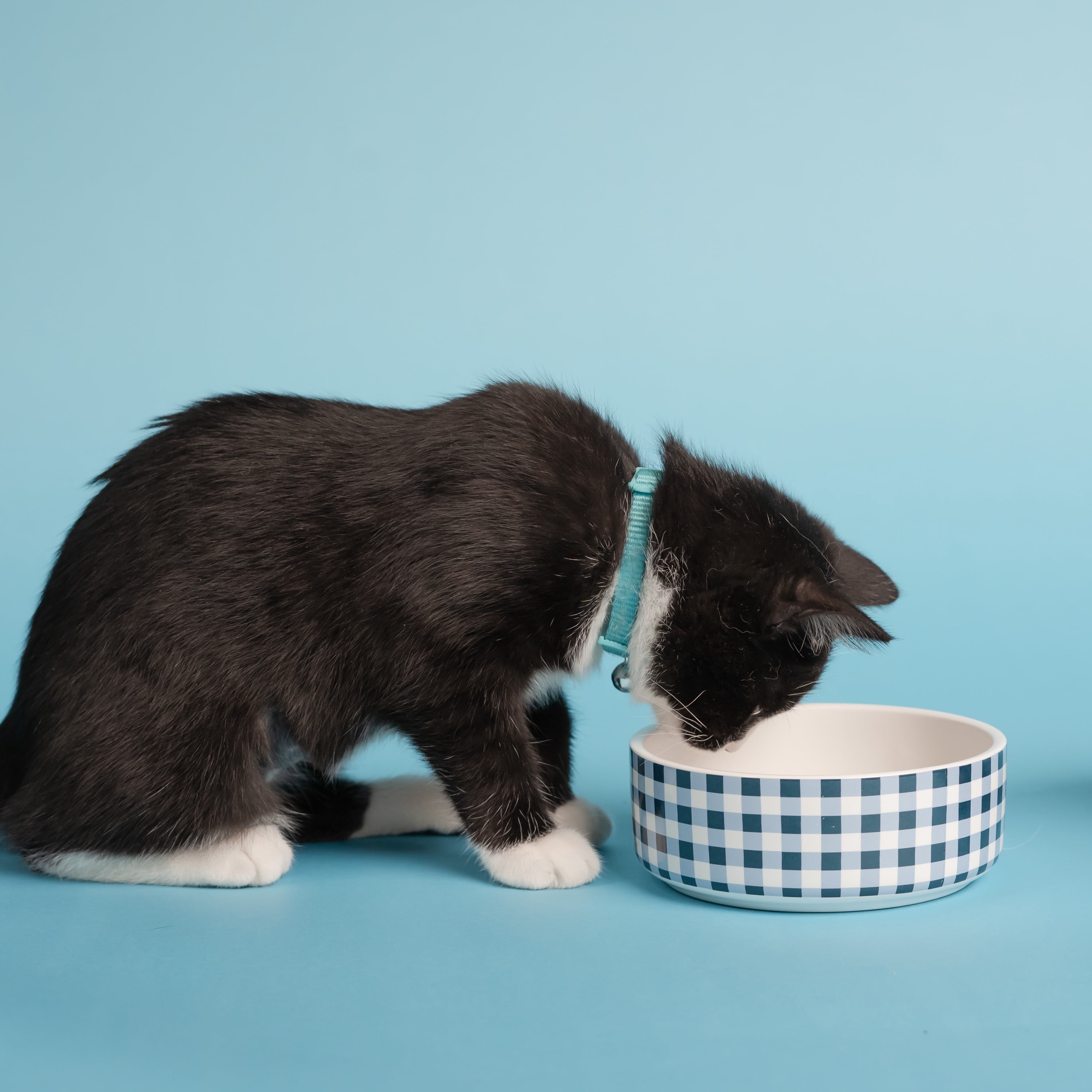 Doggy Parton, Cat Bowls, Rustic Checkered Pet Bowl, Blue, Small