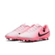 thumbnail image 1 of Zapatos de Futbol Nike Legend 10 Academy FG #27cm DV4337-601 Vapor, 1 of 5