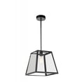 thumbnail image 1 of 1 Light Down Mini Pendant with Black finish, 1 of 2