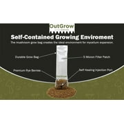 Mushroom Grow Kit (Quick Kit)