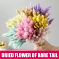 thumbnail image 2 of CAROOTU 50 Pcs Dried Flower Grass Decoration Photography Props for Home Store Wedding, 2 of 5