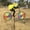 Bee, variant on Yammee 3D Animal on Bike Windmill Wind Spinner Toys Ornament Accessory