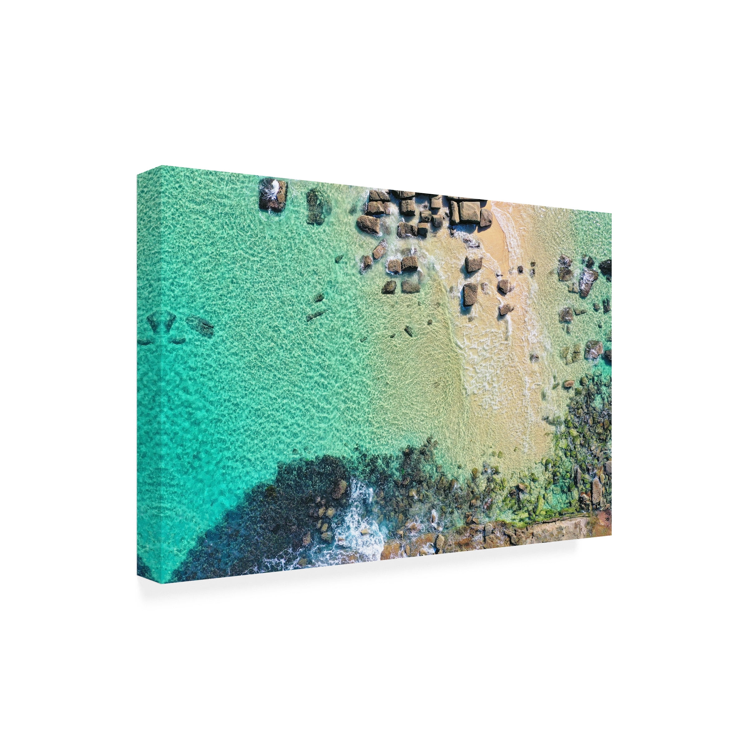 Beata Czyzowska Young 'Art Of The Ocean' Canvas Art