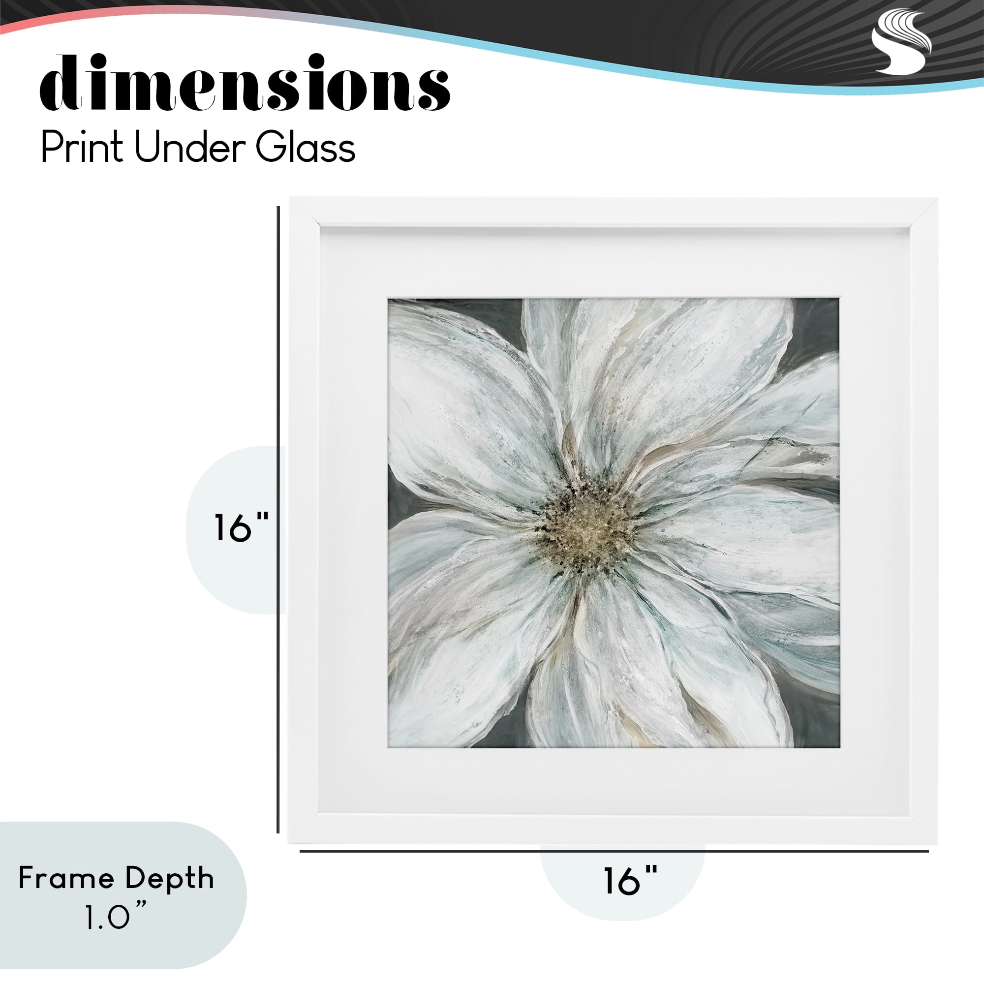 Stupell Industries Large White Flower Closeup White Framed Print Under Glass, design by Carol Robinson