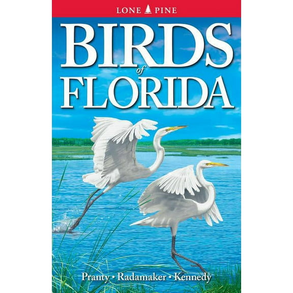Birds of Florida, (Paperback)