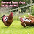 thumbnail image 3 of Antqov Chicken Saddle for Hens Chicken Apron with Elastic Strap Chicken Jacket Strap Poultry Protector Hen Feather Fixer Stylish Show Costume Adjust Tightness, 3 of 5