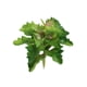 thumbnail image 4 of Ramo de follaje artificial de sedum de plástico con hojas grandes para decoración del hogar y bodas, 4 of 9