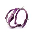 thumbnail image 2 of Collar y arnés de perro con clavos tachonados de cuero antis del arnés del collar del animal doméstico del remache de la mordedura, 2 of 5