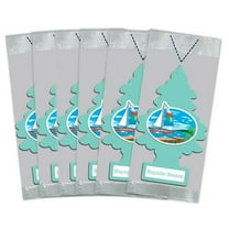 LITTLE TREES Car Air Freshener Bayside Breeze, 6 Pack