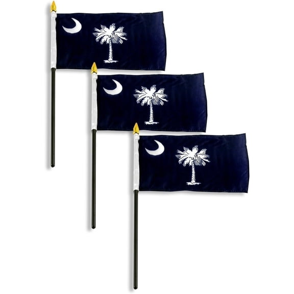 South Carolina Flag 4 x 6 inch (3 PK)