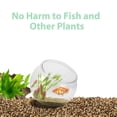 thumbnail image 3 of WHAMVOX Betta Fish Tank Round Plastic For Office Decor With Durable Design 1Pack, 3 of 8