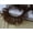 Brown, variant on U8MO 5 Meters Ruffle Pleated Organza Lace Ribbon Trim 25mm Sewing Wedding Colour-White