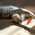 thumbnail image 3 of wznxdo Hot Sale Cat Toys Fish Shape Canvas Toy with Catnip and Crinkle Paper Indoor Cats Exercise with Interactive Kicking Toys, 3 of 6