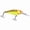 Hot Tiger, variant on Rapala Shad Rap Crankbait 06 Hot Tiger